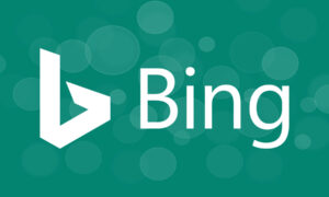 Bing Ads Accounts – – image 1