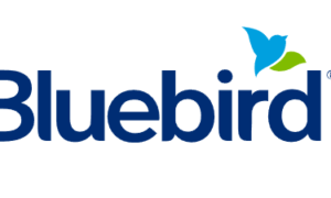 Bluebird Account – image 1