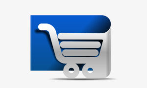 Ecommerce Seo Services